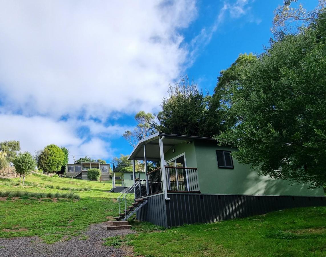 Cozy Otways Accommodation Beech Forest Exterior foto